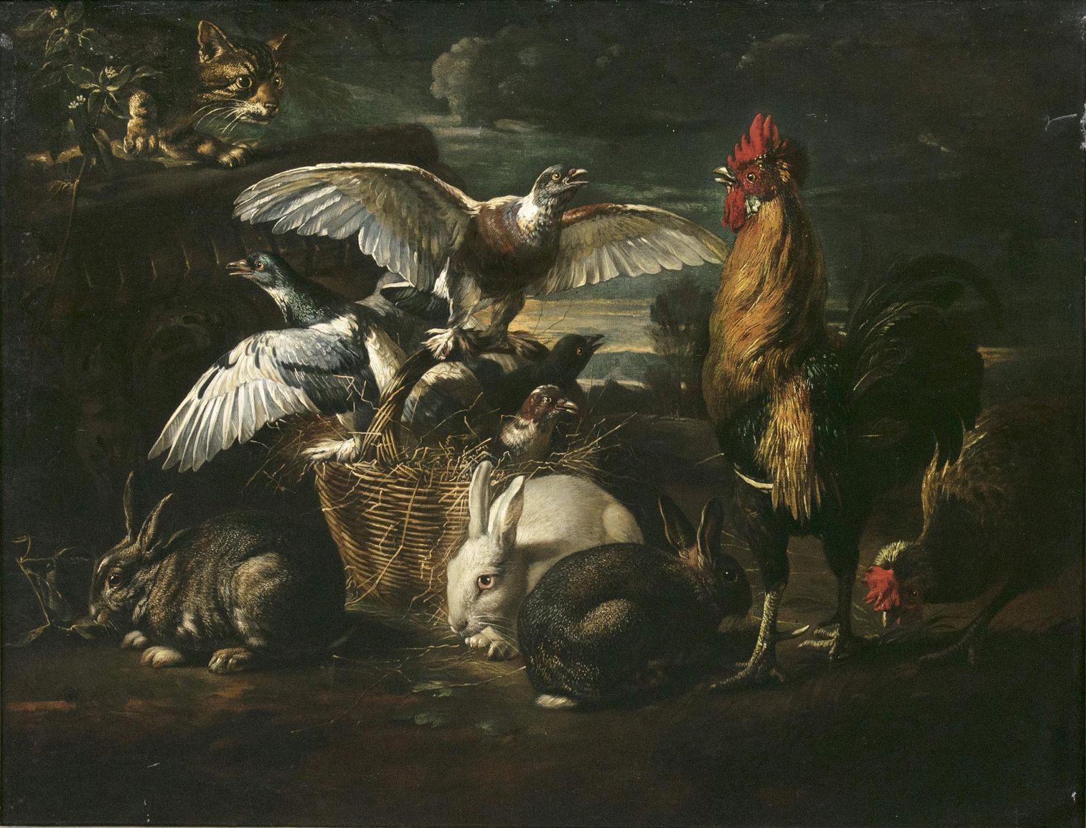 Poultry with Cat and Rabbits