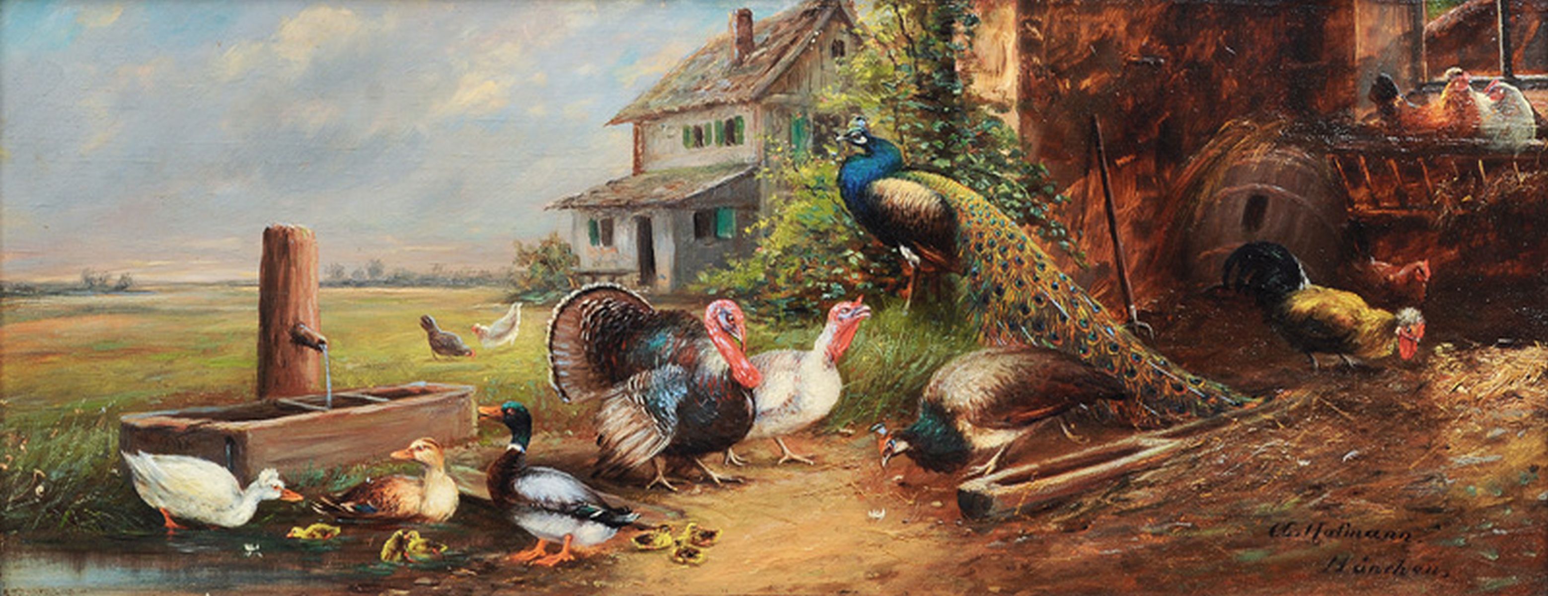 Poultry in a Yard