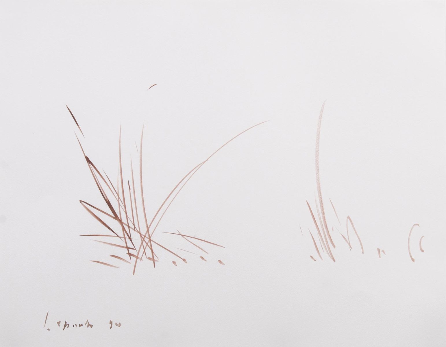 Siegward Sprotte - Grasses Grasses