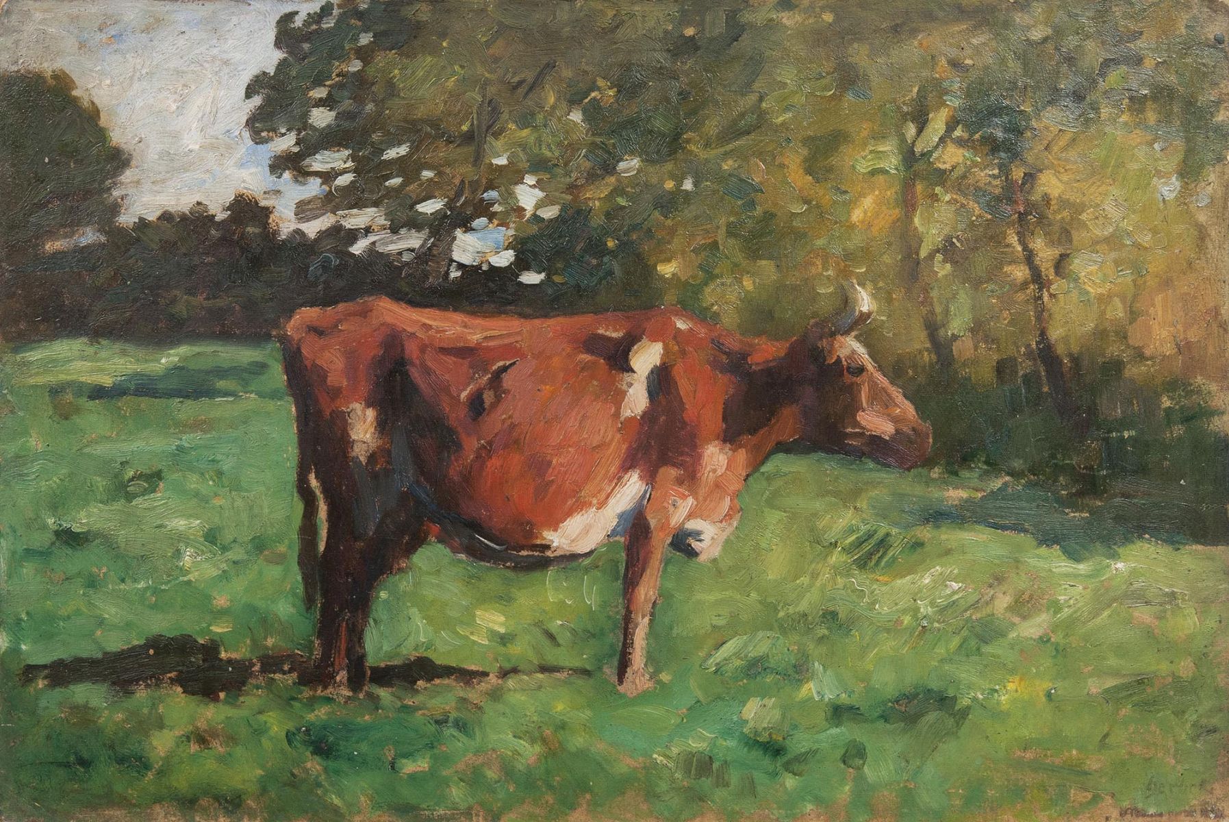 Standing Cow