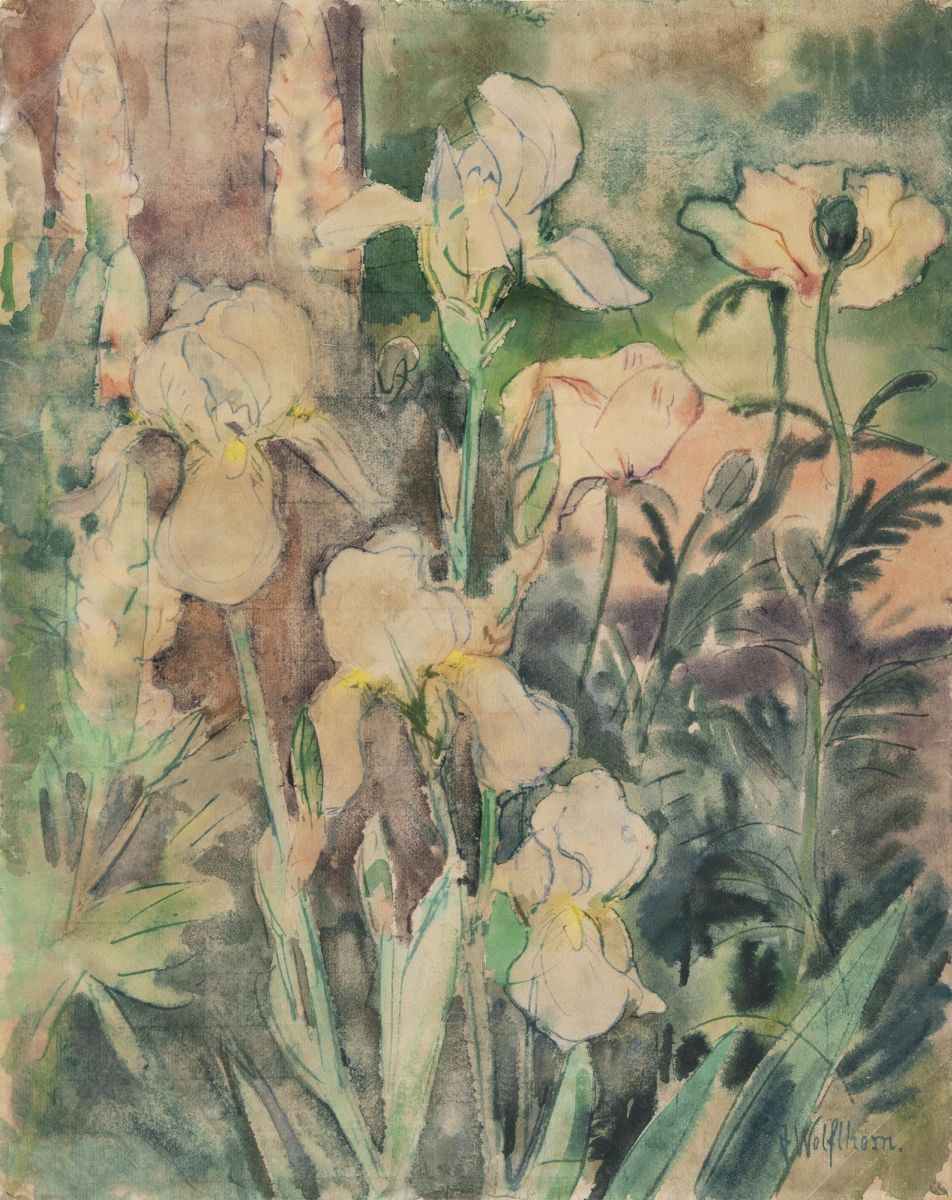 Flowers in a Garden