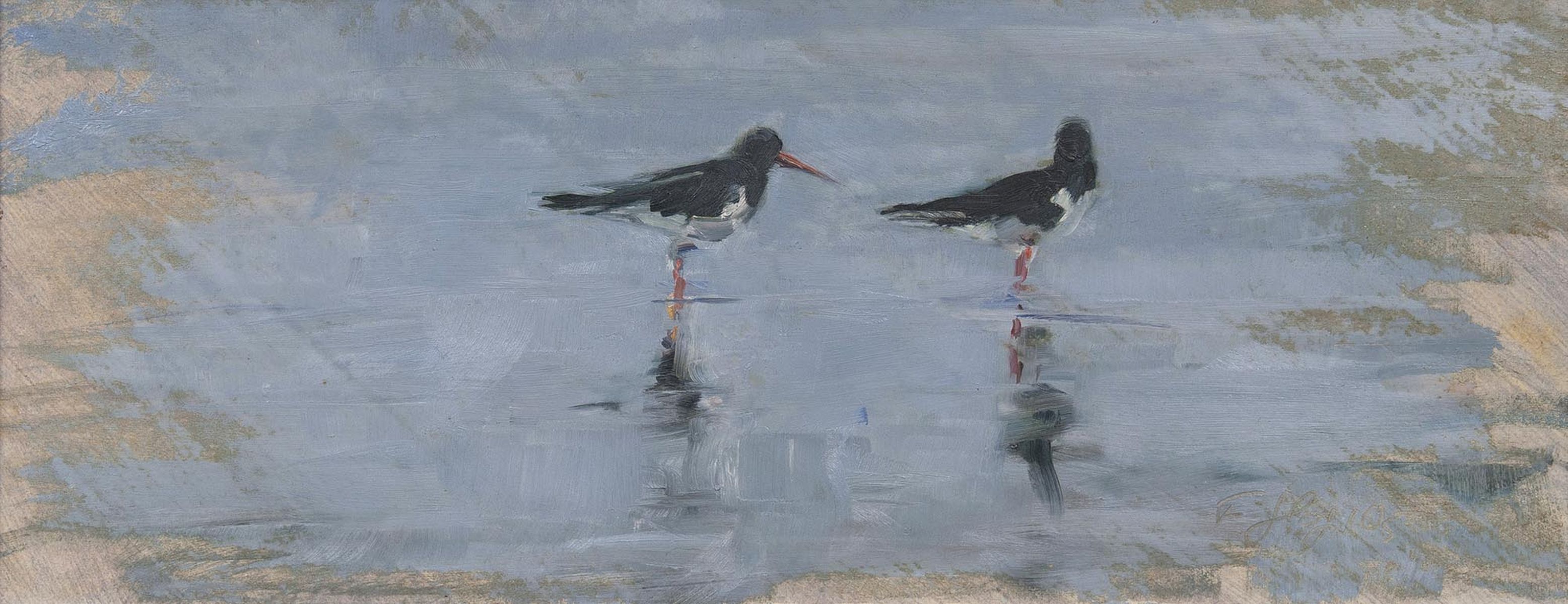 Frauke Gloyer - Oystercatcher Oystercatcher