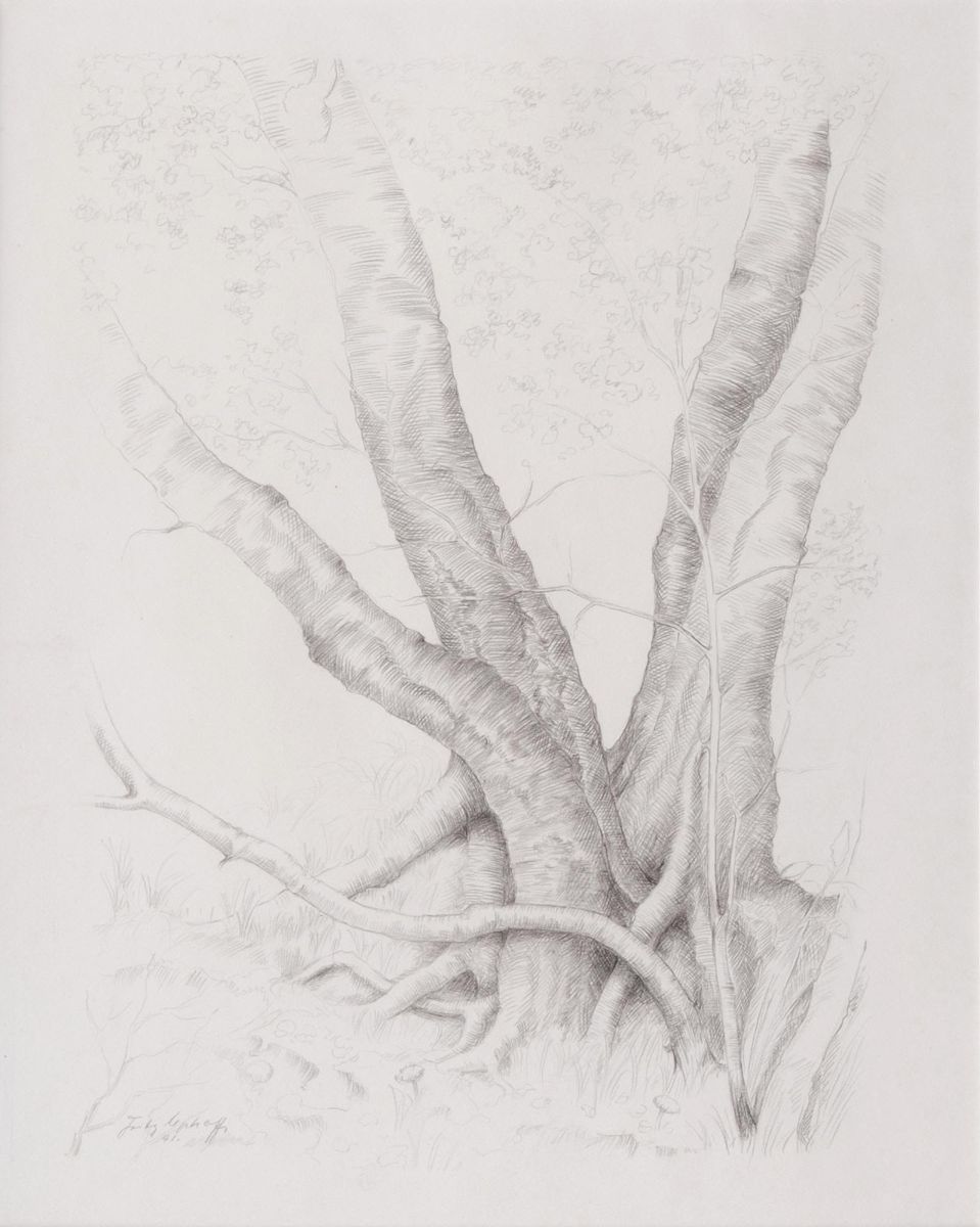 Alter Baum