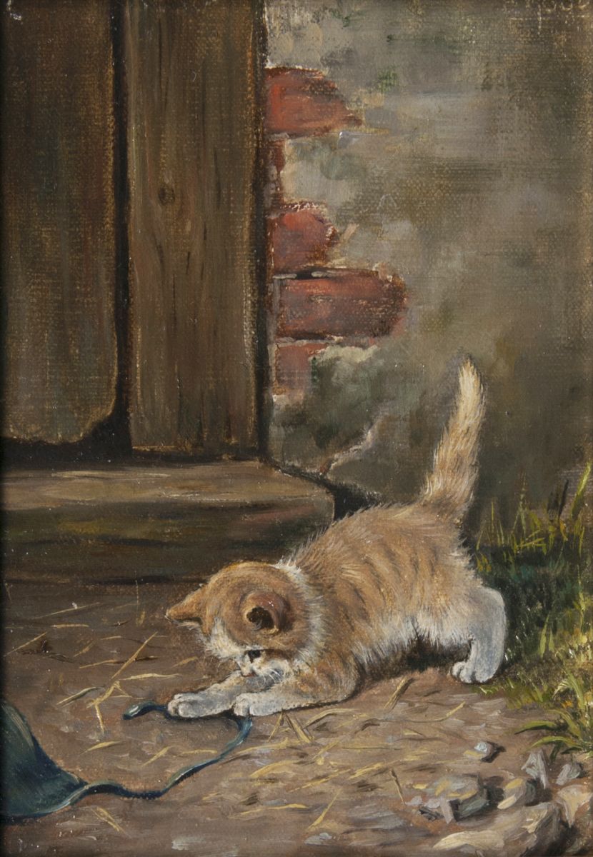 Benno Kögl - Playful Kitten Playful Kitten