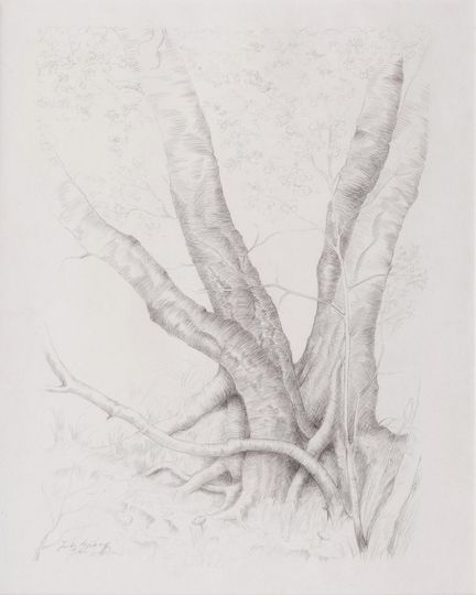 Alter Baum