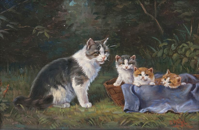 Katzenfamilie