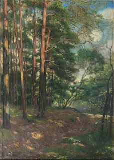 Forest Path near Hittfeld