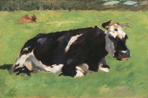 Resting Cow