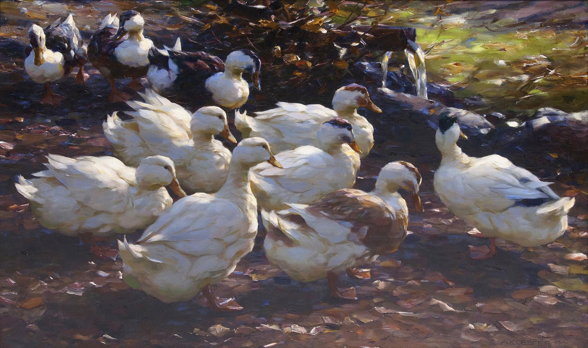 Ten Ducks - image 2