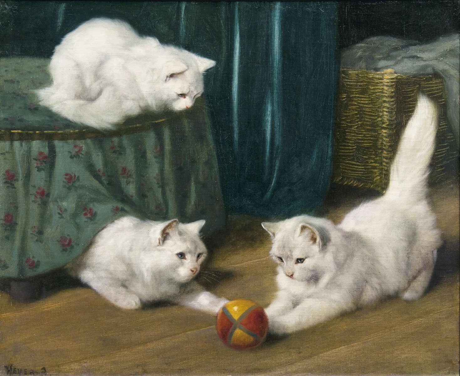Three Angora Cats