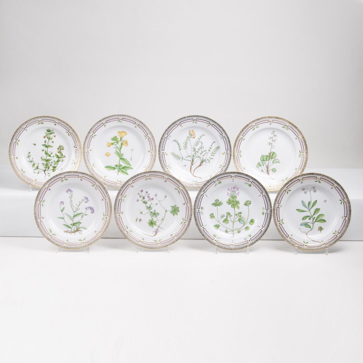 A Set of 8 Flora Danica Dinner Plates with Botanical Specimen