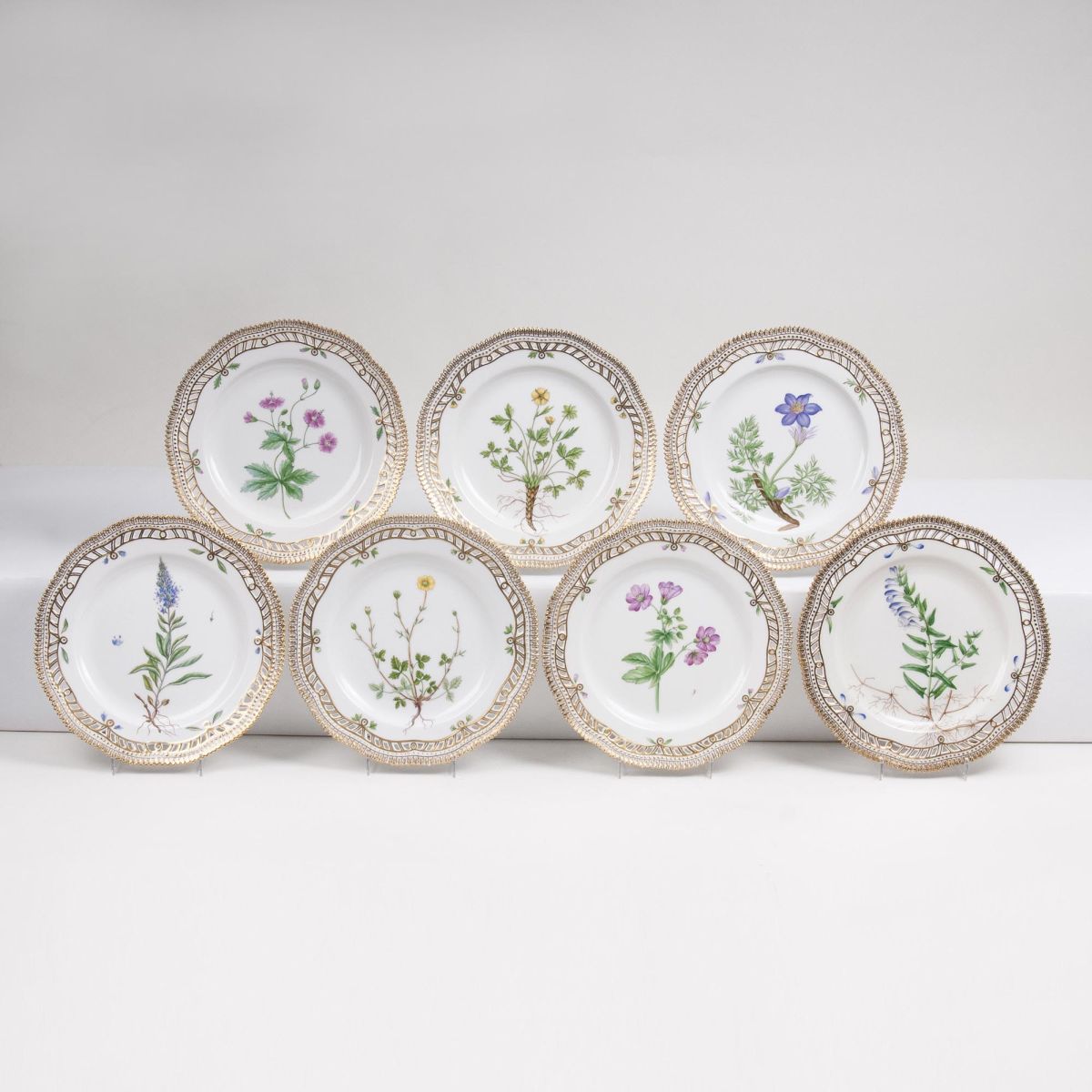 A Set of 6 reticulated Flora Danica Plates with Botanical Specimens