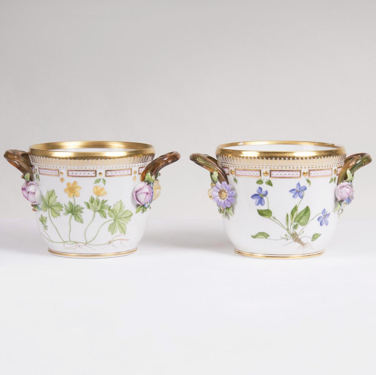A Pair of small Flora Danica Cachepots with Botanical Specimens A Pair of small Flora Danica Cachepots with Botanical Specimens