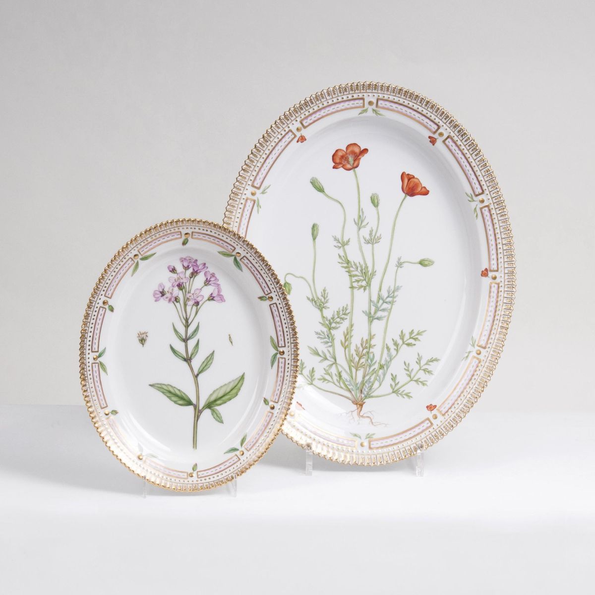 Zwei ovale Flora Danica-Platten mit botanischen Gewächsen