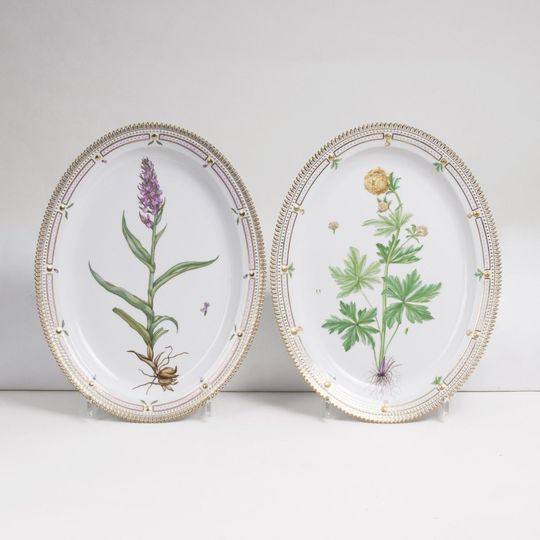 Paar großer ovaler Flora Danica Platten mit botanischen Gewächsen