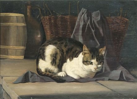 Ruhende Katze