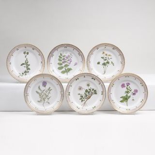 A Set of 6 Flora Danica Breakfast Plates with Botanical Specimen