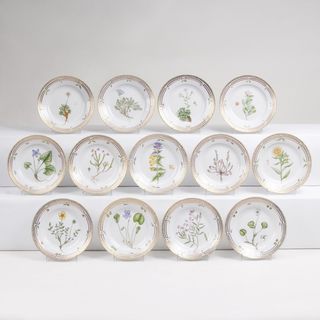 A Set of 13 small Side Dishes with Botanical Specimen