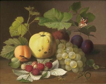 Still Life with Fruits and Insects.