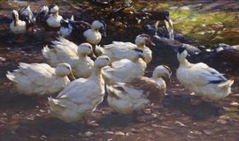 Zehn Enten am Brünnele - Bild 2