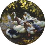 Eight Ducks - image 2