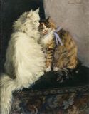 Two Cats with Blue Ribbon