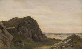 Swedish Landscape