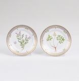 Two small Flora Danica Bread Plates with Botanical Specimens