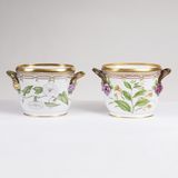 A Pair of Flora Danica Wine Coolers with Botanical Specimens