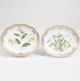 A Pair of small Oval Flora Danica Dishes with Botanical Specimens