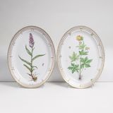 A Pair of large Oval Platters with Botanical Specimens