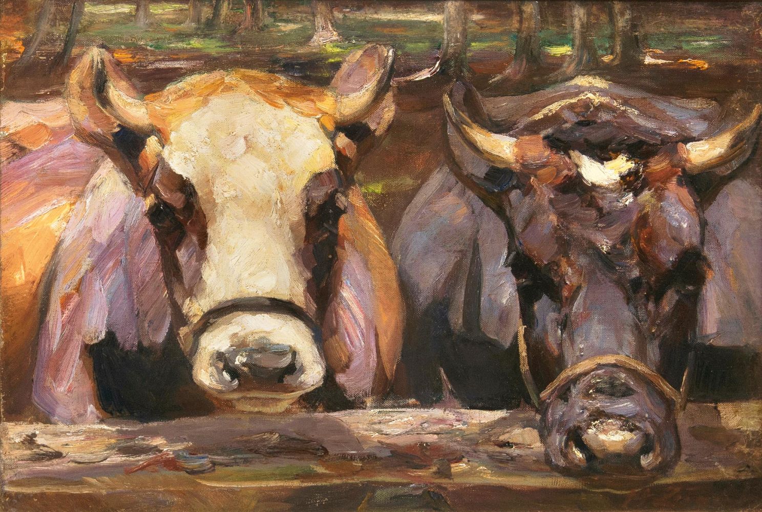 Two Cows