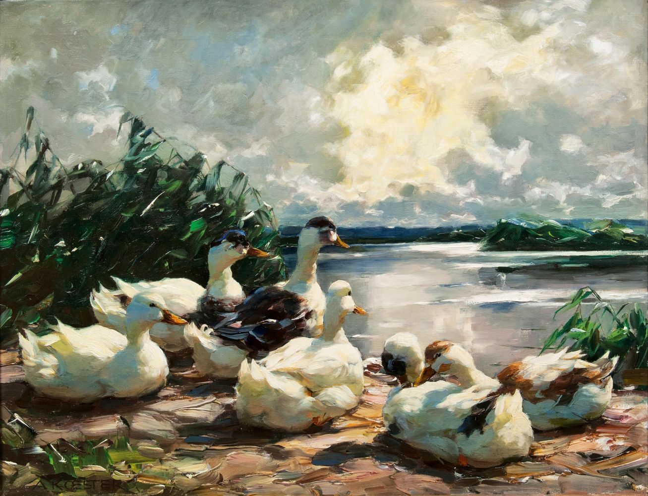 Six resting Ducks