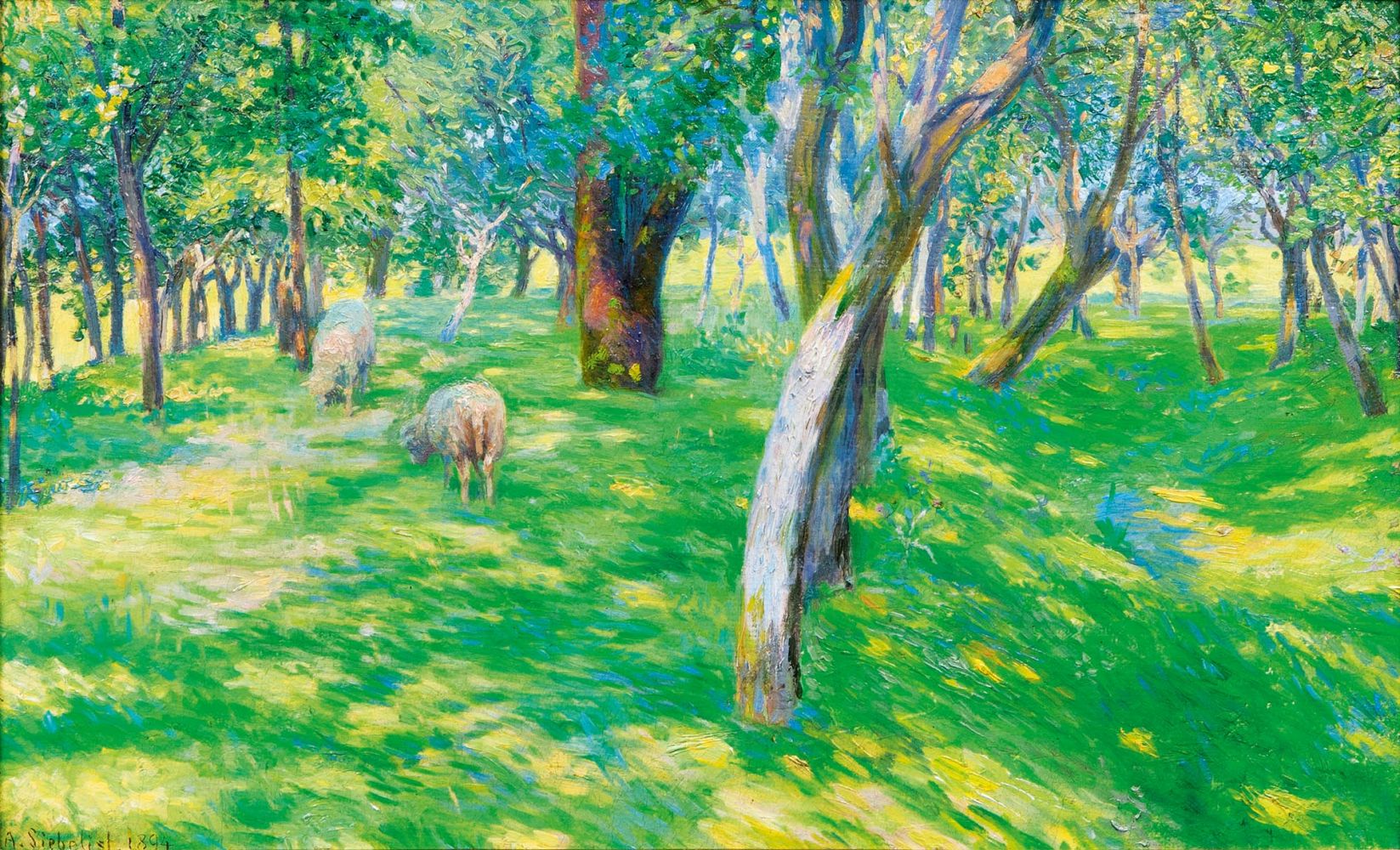 Sheep in a sunlit Wood