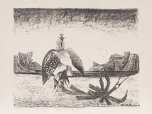 Vogel Phönix - Bild 2