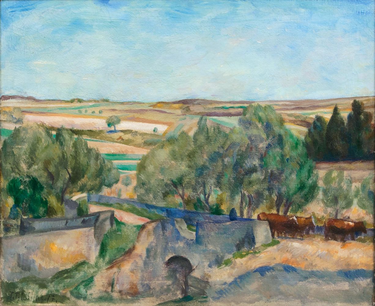 Extensive Landscape