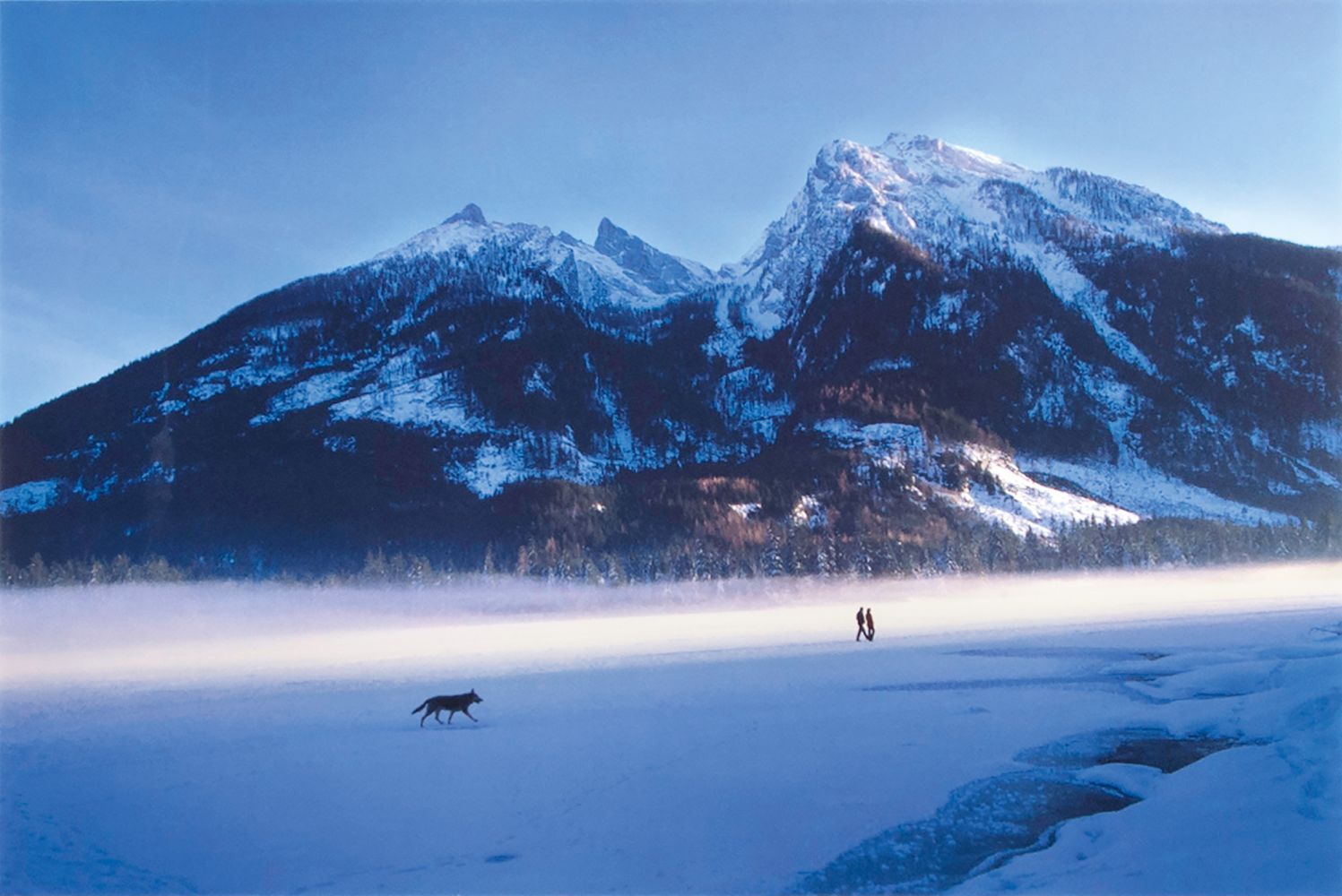 Winter Landscape with Wolf