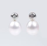 Paar Perlen-Solitär-Ohrringe