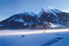 Winter Landscape with Wolf