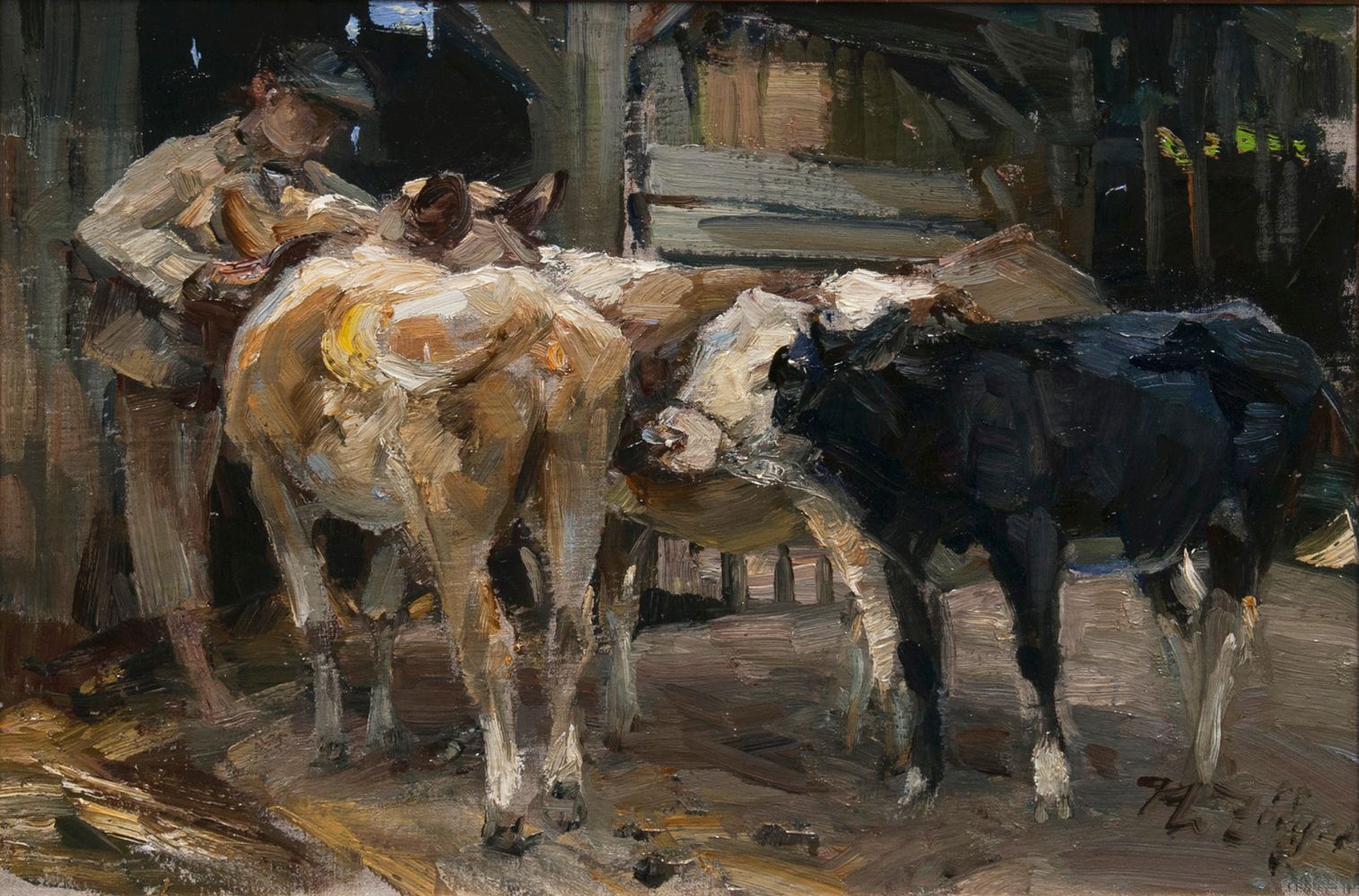 Farmer with Calves