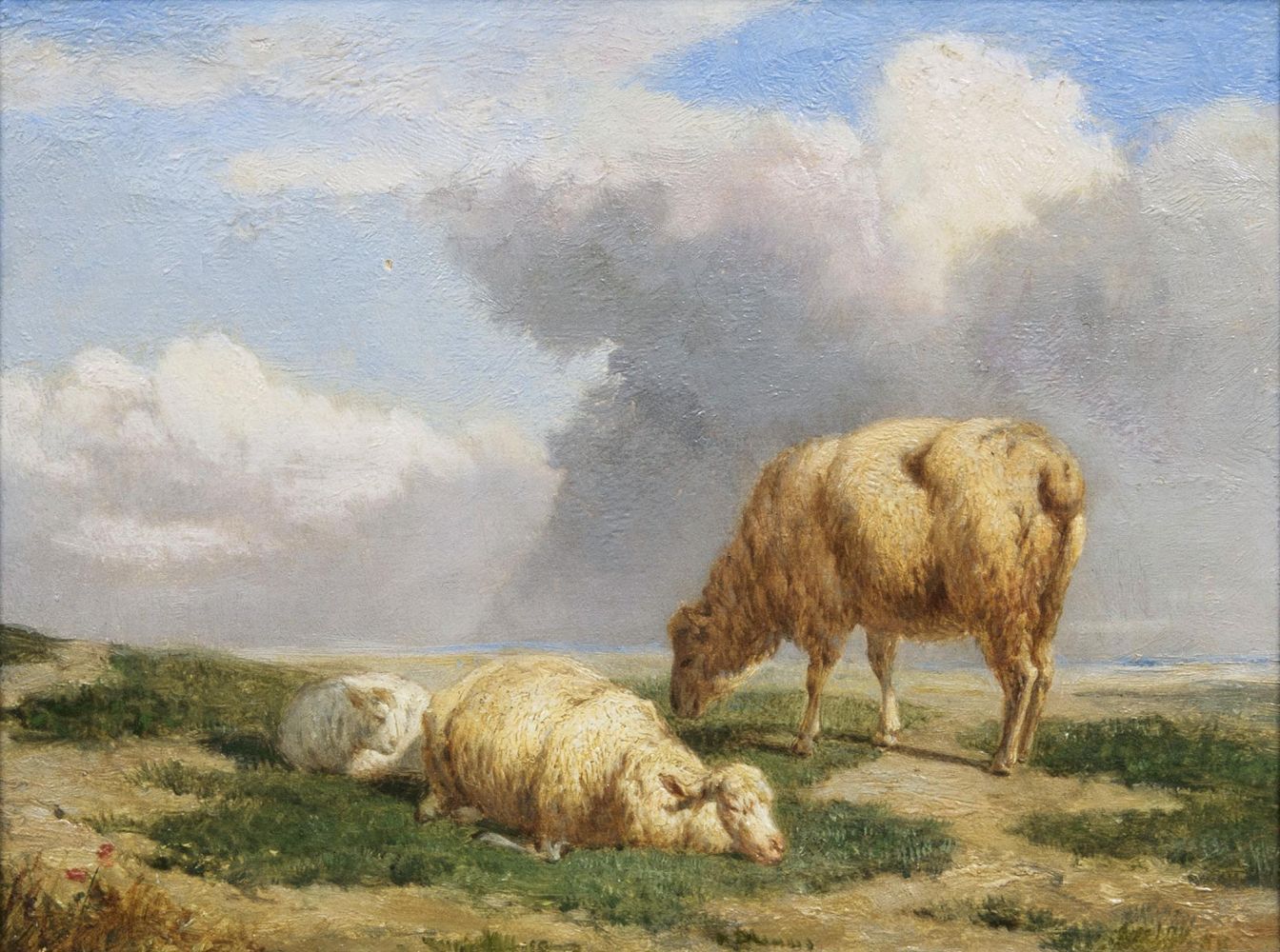 Drei Schafe