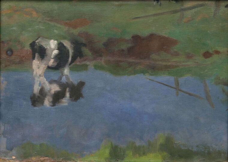 Kuh im Wasser