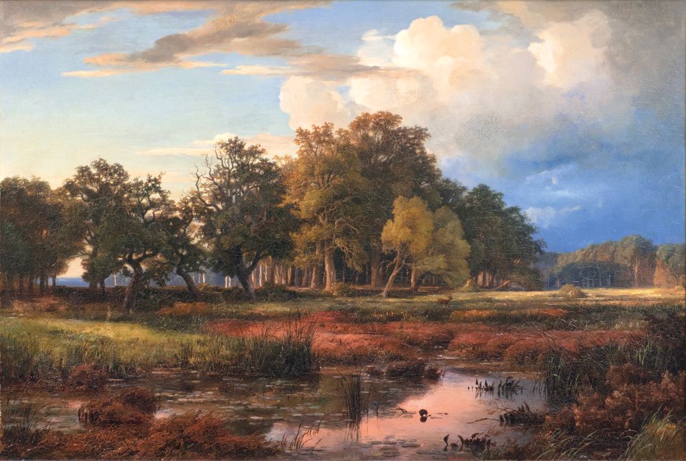 Landscape in Schleswig-Holstein