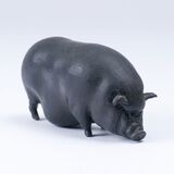 Hängebauchschwein - Bild 1