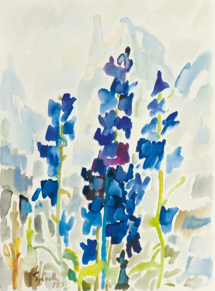 Delphinium