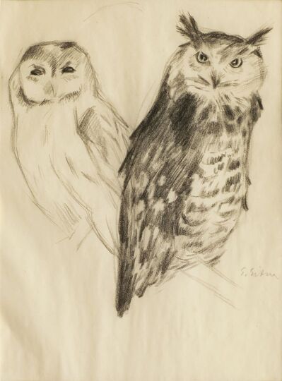 Owl and Eagle-Owl