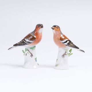 Vogelpaar 'Zwei Buchfinken'