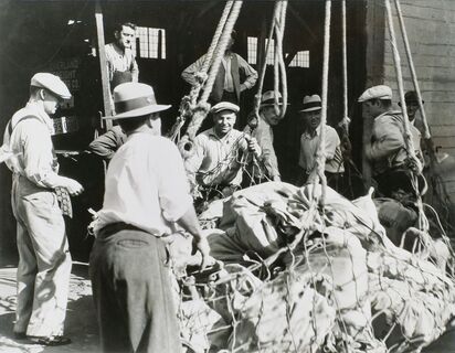 Lewis W. Hine - Union Dock Workers back on Job in S. F. Union Dock Workers back on Job in S. F.