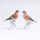 Vogelpaar 'Zwei Buchfinken'