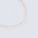 A Natural Pearl Necklace - image 2